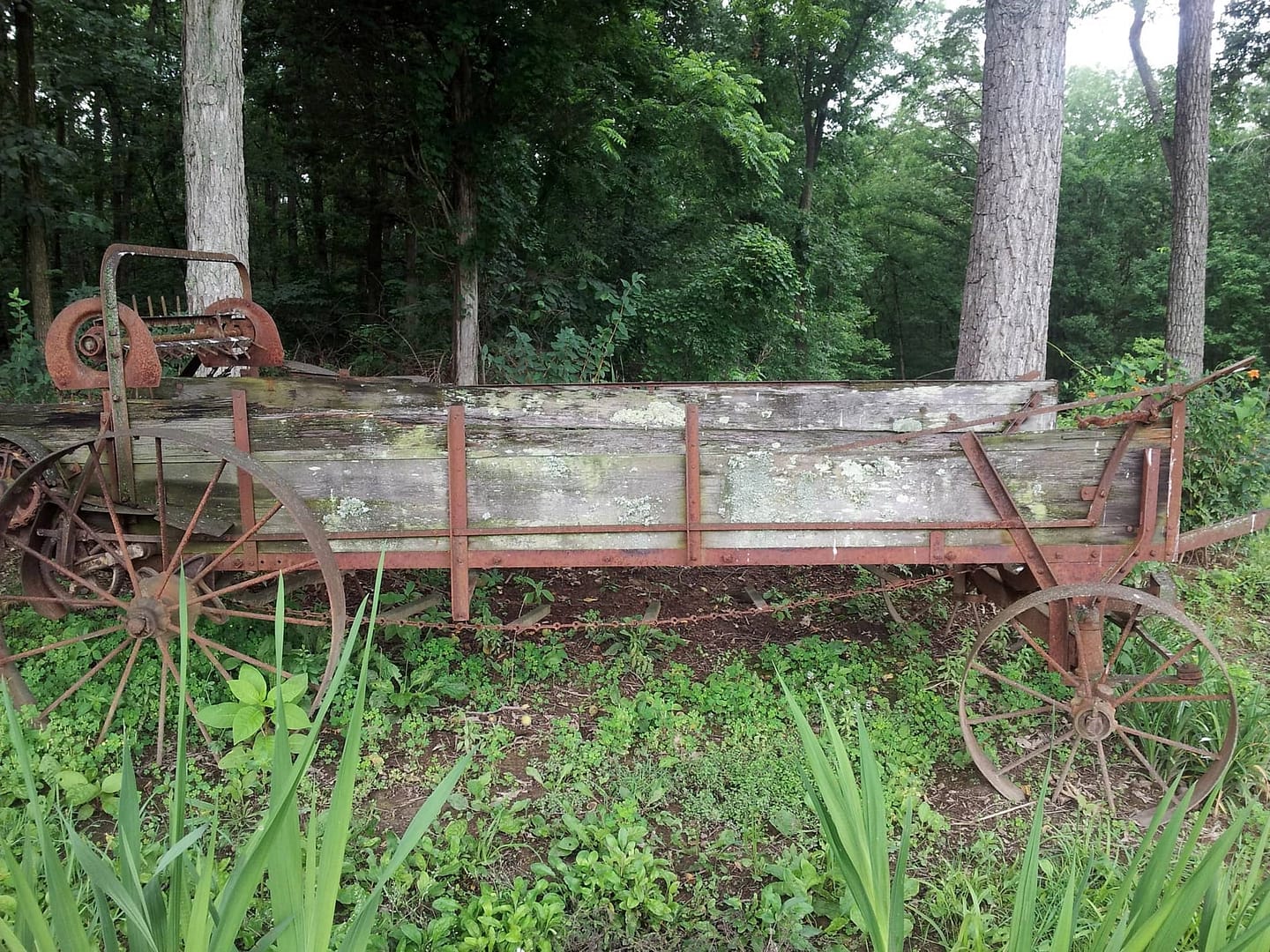 antique litter wagon
