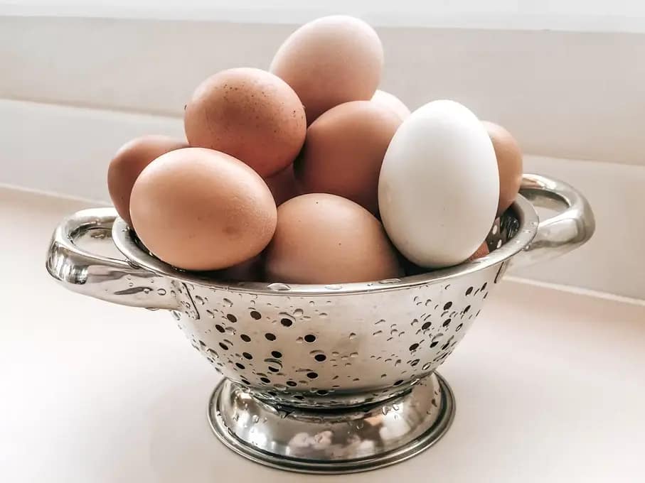 Farm-Produce-Fresh-Wash-Poultry to Homepage EGG